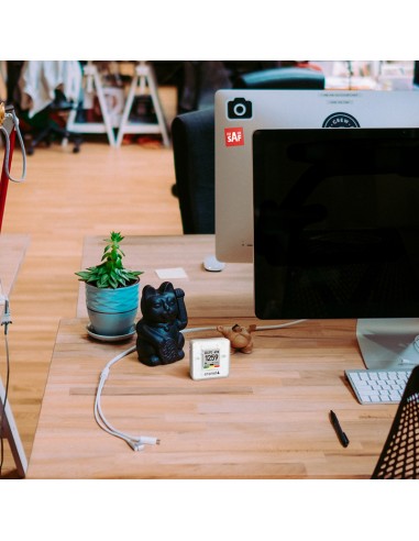 ARANET4 HOME| TH-Industrie | Indicateur de qualité d’air | CO2