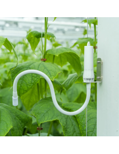 Capteur infrarouge de température des plantes Aranet | TH-Industrie 2