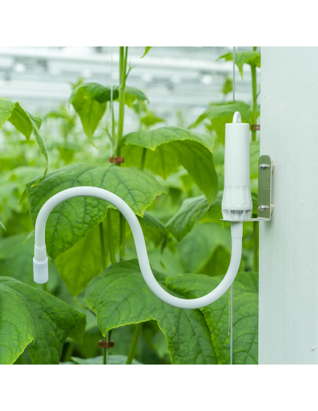 Capteur infrarouge de température des plantes Aranet | TH-Industrie