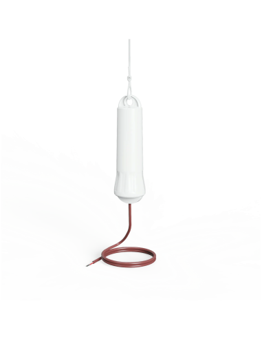 Transmetteur radio pour sonde PT100 | Aranet