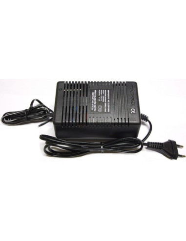 Adaptateur CA/CC 21V/1A/25W non stabilisé